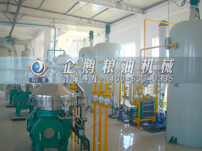 如何投資建設(shè)棕櫚油加工廠？企鵝糧油機械在線為您答疑解惑(圖2)